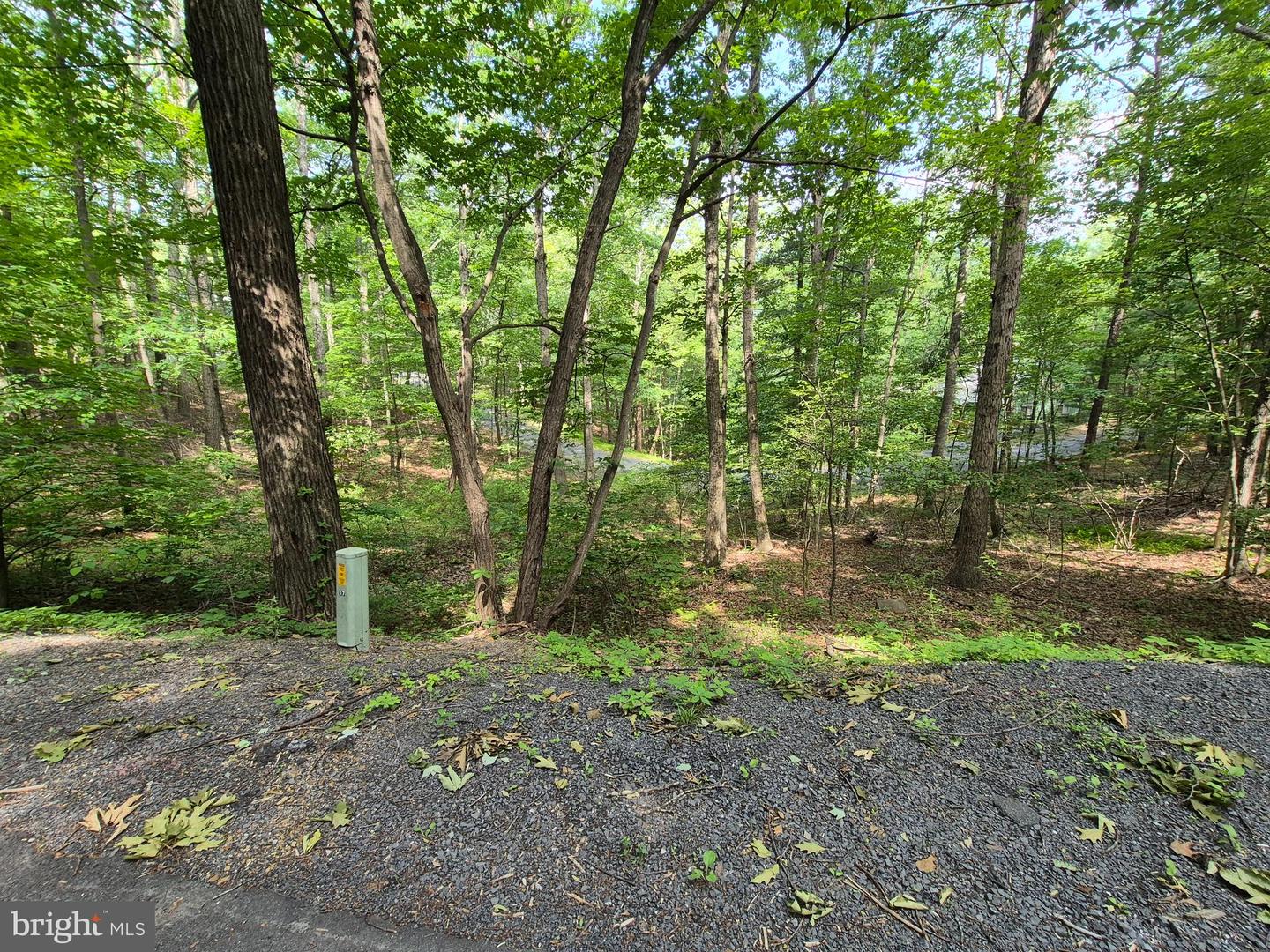 DAWN, BASYE, Virginia 22810, ,Land,For sale,DAWN,VASH2011700 MLS # VASH2011700