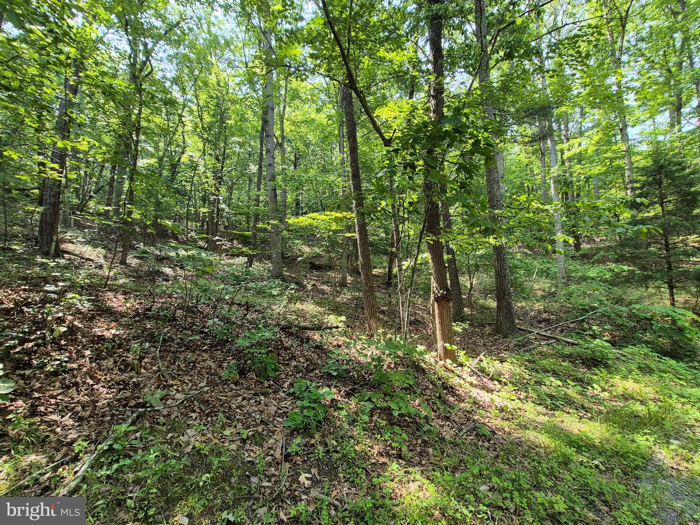 DAWN, BASYE, Virginia 22810, ,Land,For sale,DAWN,VASH2011700 MLS # VASH2011700