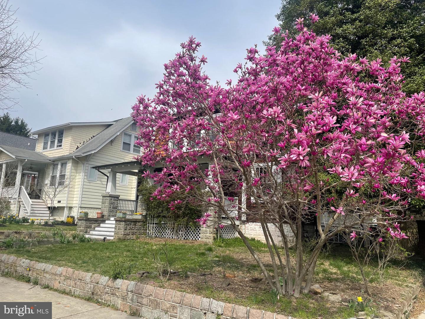 5725 SHERIER PLACE NW, WASHINGTON, District Of Columbia 20016, 3 Bedrooms Bedrooms, ,2 BathroomsBathrooms,Residential,For sale,5725 SHERIER PLACE NW,DCDC2191444 MLS # DCDC2191444