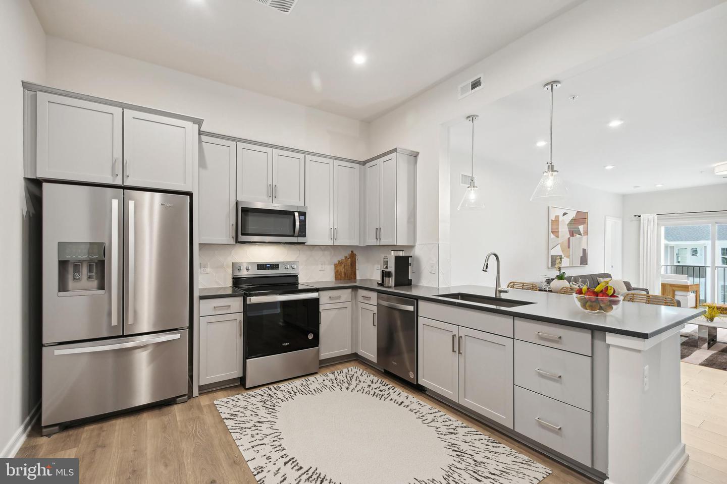 700 MOUNT AIRY TER NE #205, LEESBURG, Virginia 20176, 2 Bedrooms Bedrooms, ,2 BathroomsBathrooms,Residential,For sale,700 MOUNT AIRY TER NE #205,VALO2099428 MLS # VALO2099428