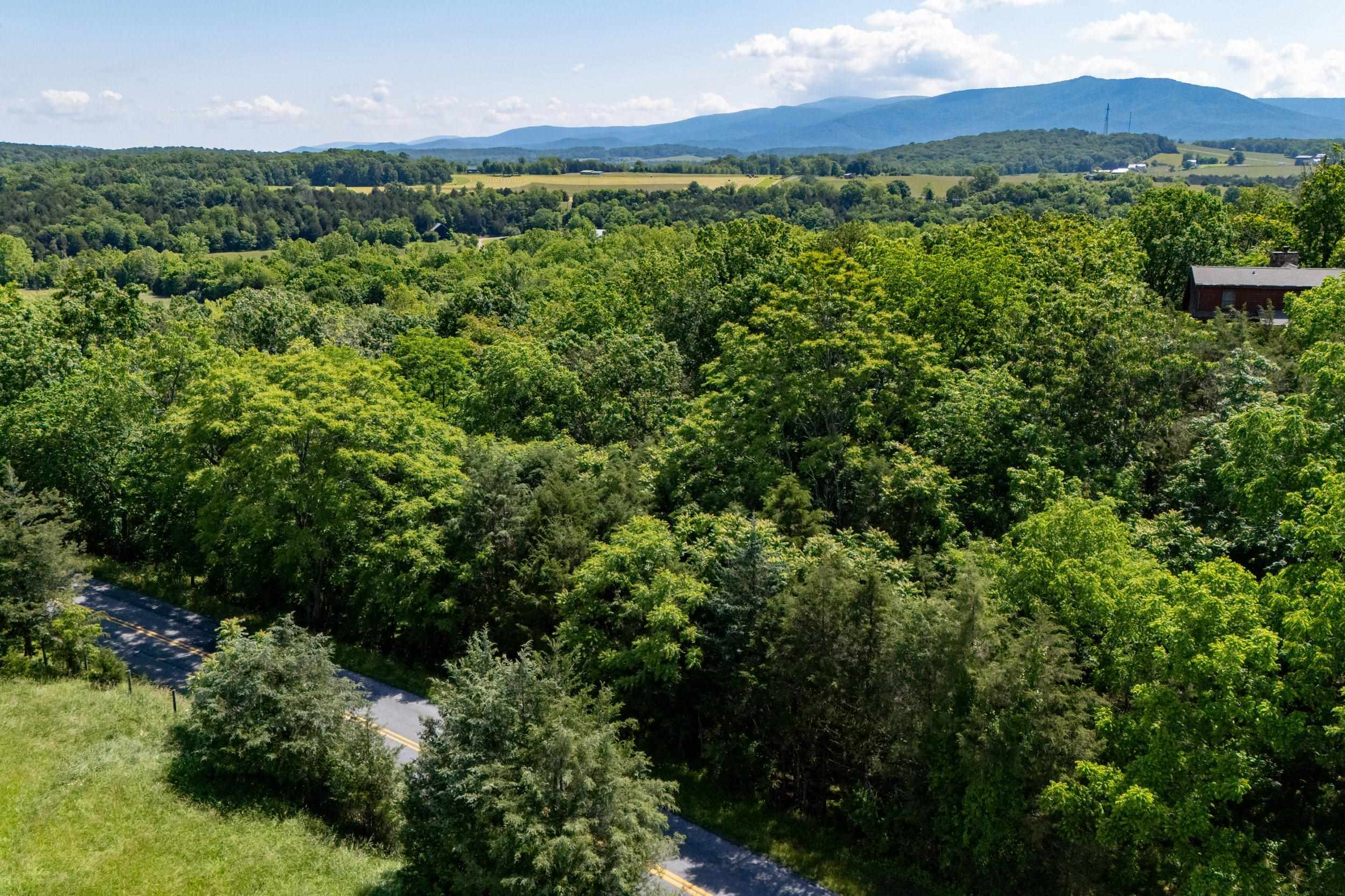 0 S PAGE VALLEY RD, LURAY, Virginia 22835, ,Land,0 S PAGE VALLEY RD,665677 MLS # 665677