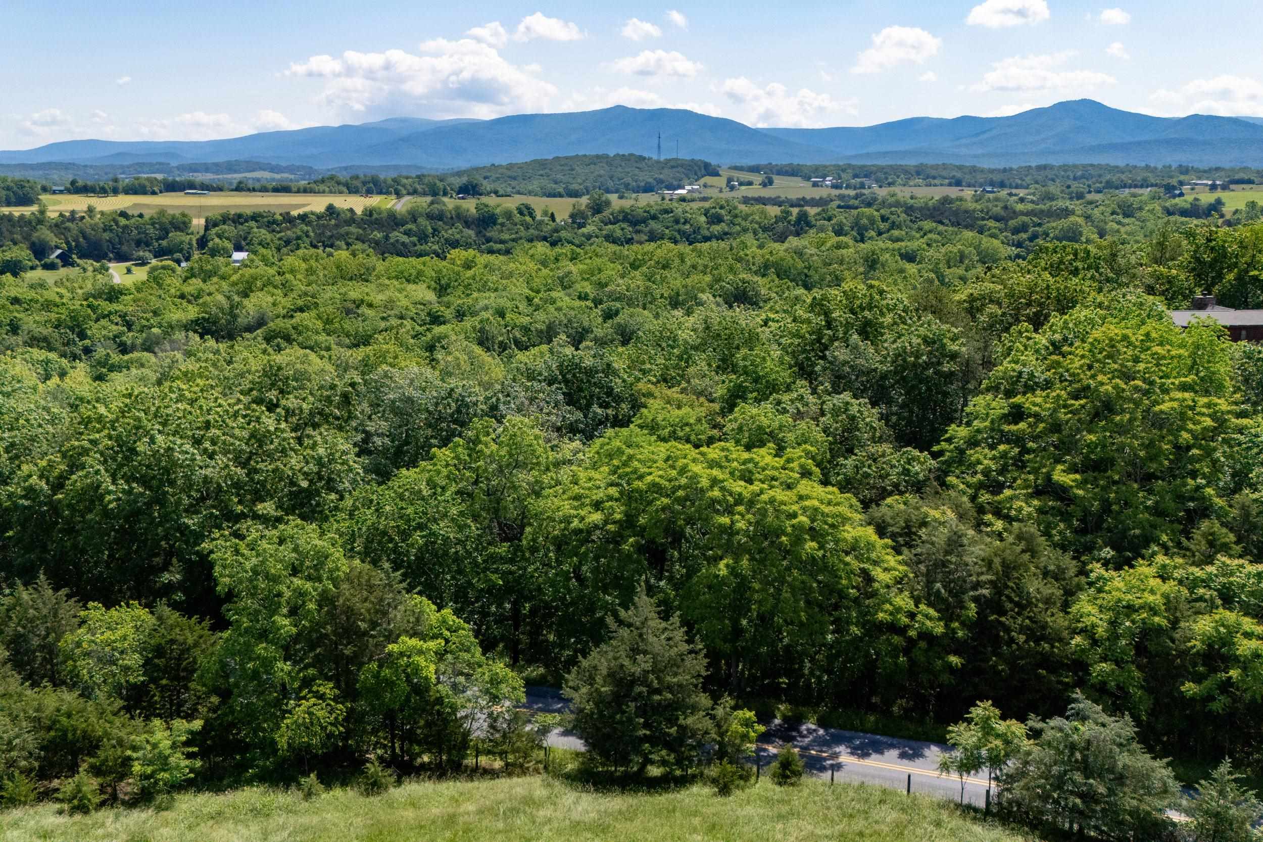 0 S PAGE VALLEY RD, LURAY, Virginia 22835, ,Land,0 S PAGE VALLEY RD,665677 MLS # 665677