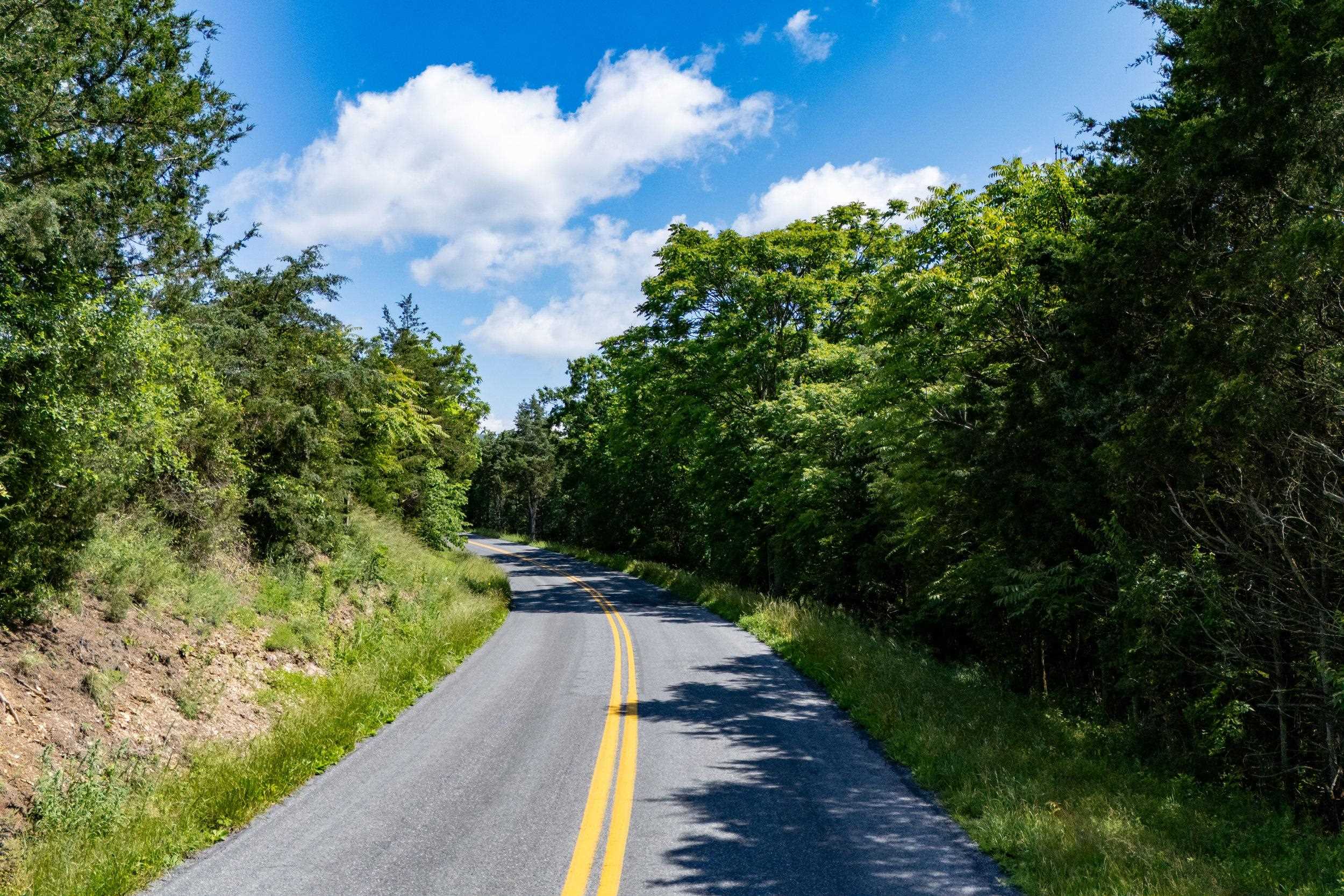 0 S PAGE VALLEY RD, LURAY, Virginia 22835, ,Land,0 S PAGE VALLEY RD,665677 MLS # 665677