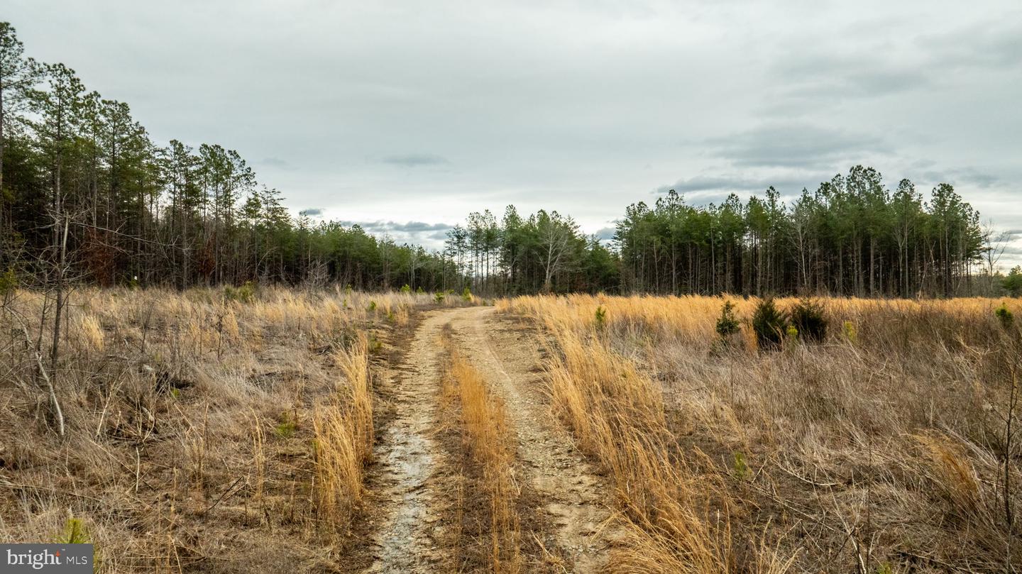 7812 GRAND BROOKS RD, SPOTSYLVANIA, Virginia 22551, ,Land,For sale,7812 GRAND BROOKS RD,VASP2033494 MLS # VASP2033494