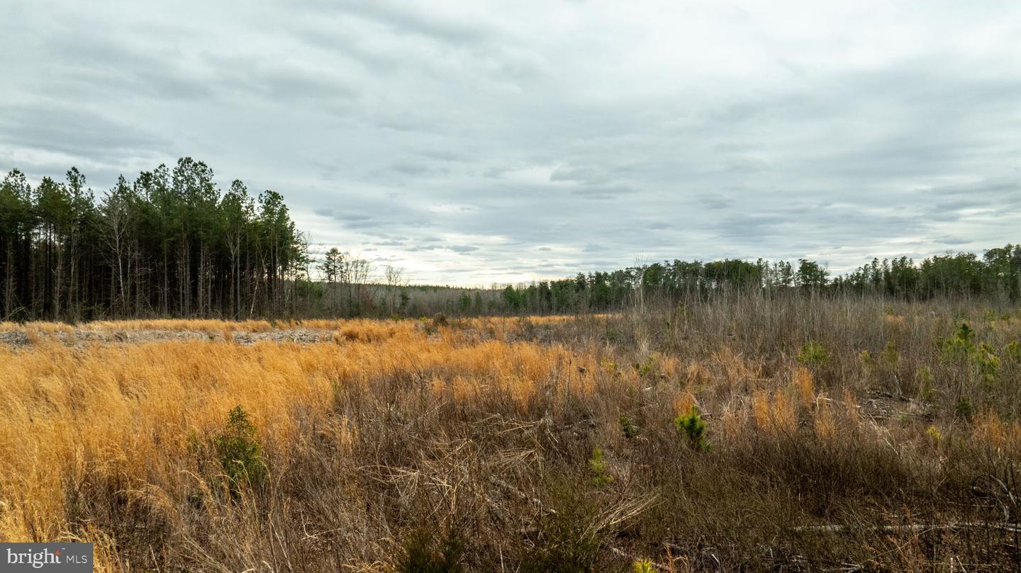 7812 GRAND BROOKS RD, SPOTSYLVANIA, Virginia 22551, ,Land,For sale,7812 GRAND BROOKS RD,VASP2033494 MLS # VASP2033494
