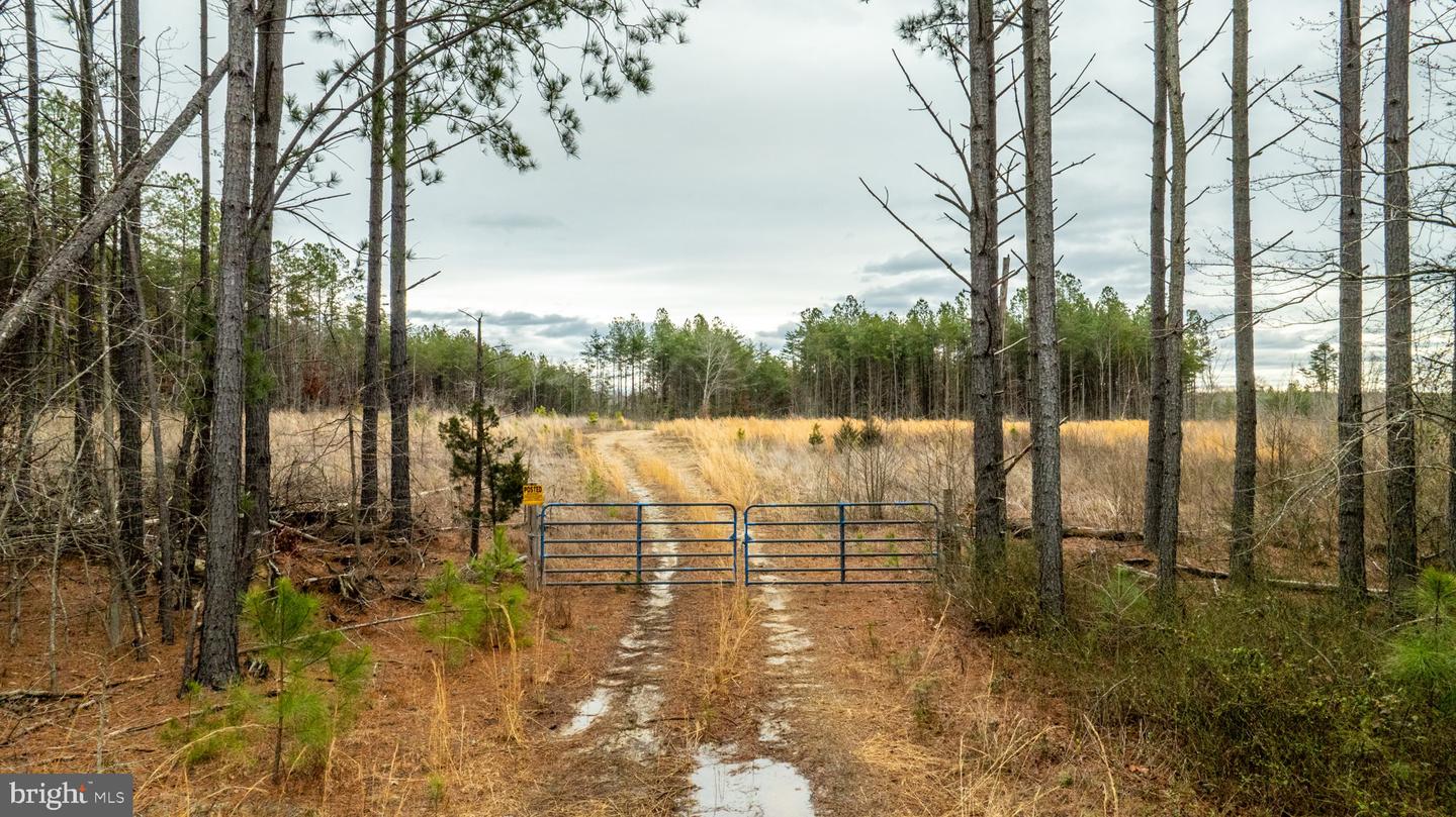 7812 GRAND BROOKS RD, SPOTSYLVANIA, Virginia 22551, ,Land,For sale,7812 GRAND BROOKS RD,VASP2033494 MLS # VASP2033494