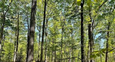 0 LOT 2 TAPPS FORD RD, AMISSVILLE, Virginia 20106, ,Land,For sale,0 LOT 2 TAPPS FORD RD,VAFQ2017002 MLS # VAFQ2017002