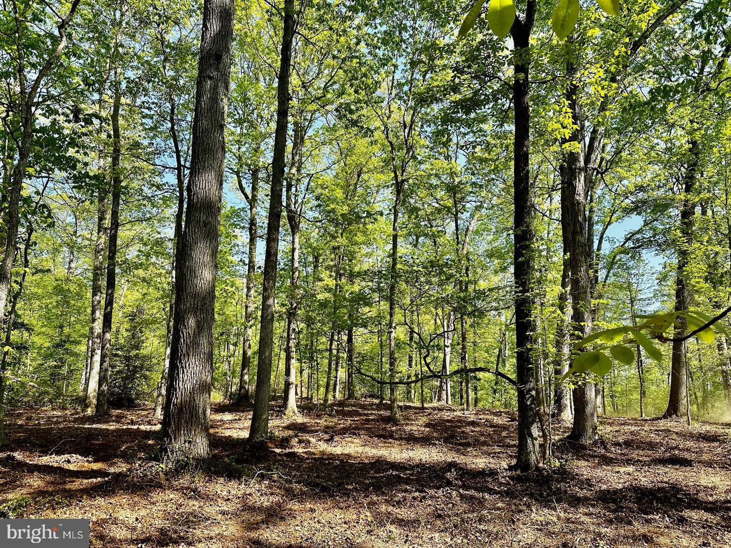 00 LOT 3 TAPPS FORD, AMISSVILLE, Virginia 20106, ,Land,For sale,00 LOT 3 TAPPS FORD,VAFQ2017014 MLS # VAFQ2017014