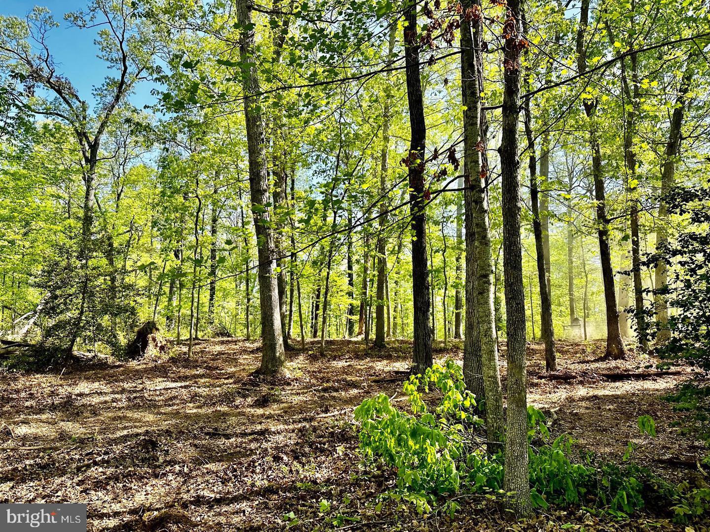 00 LOT 3 TAPPS FORD, AMISSVILLE, Virginia 20106, ,Land,For sale,00 LOT 3 TAPPS FORD,VAFQ2017014 MLS # VAFQ2017014