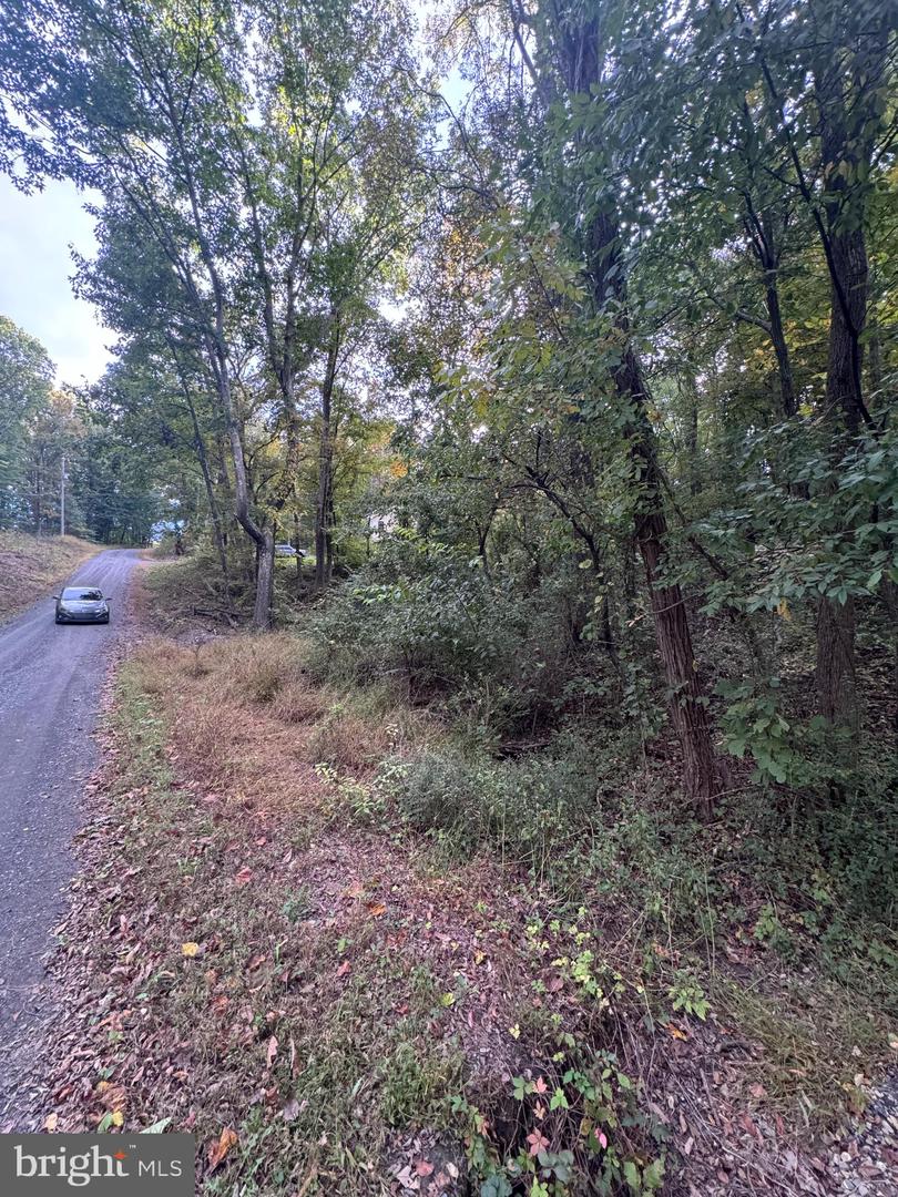 0, FRONT ROYAL, Virginia 22630, ,Land,For sale,VAWR2011434 MLS # VAWR2011434