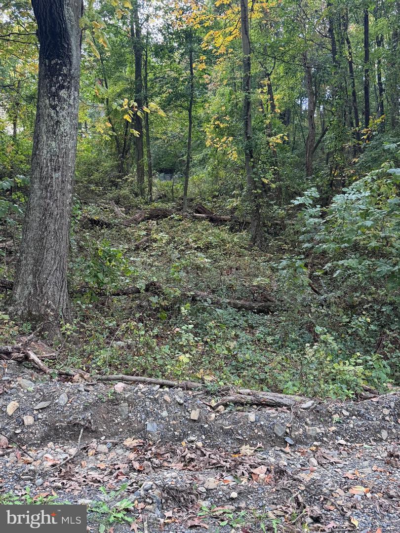 0, FRONT ROYAL, Virginia 22630, ,Land,For sale,VAWR2011434 MLS # VAWR2011434