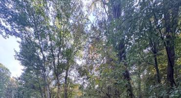 0, FRONT ROYAL, Virginia 22630, ,Land,For sale,VAWR2011434 MLS # VAWR2011434