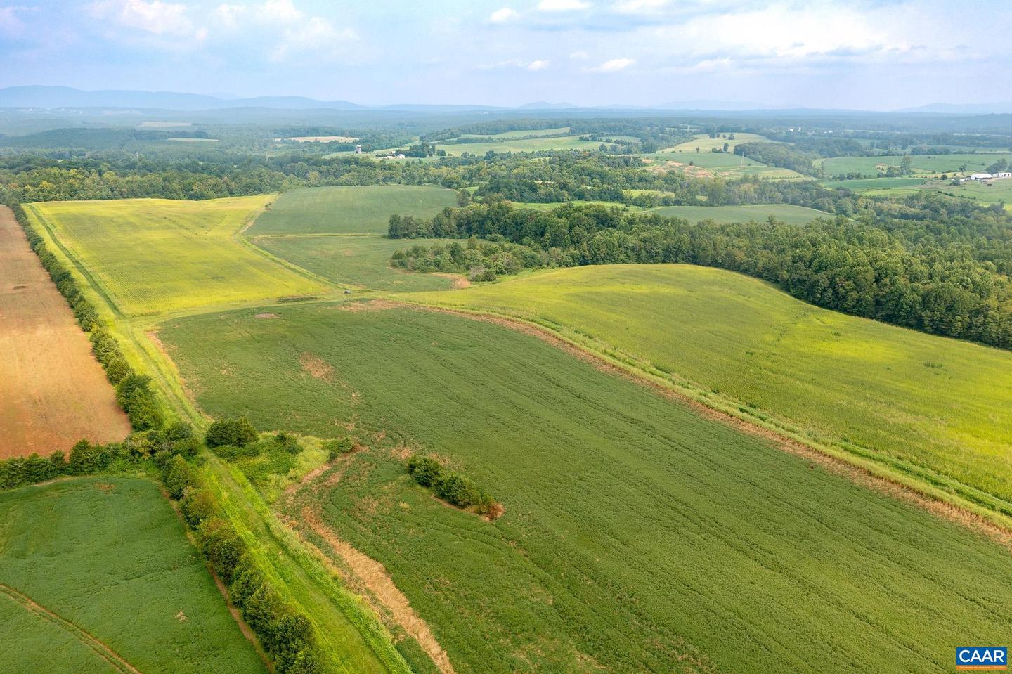 TBD GREENFIELD FARM, SCOTTSVILLE, Virginia 24590, ,Farm,For sale,TBD GREENFIELD FARM,665684 MLS # 665684