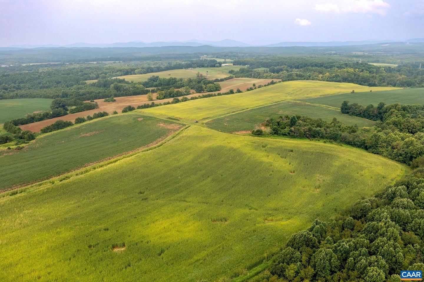 TBD GREENFIELD FARM, SCOTTSVILLE, Virginia 24590, ,Farm,For sale,TBD GREENFIELD FARM,665684 MLS # 665684
