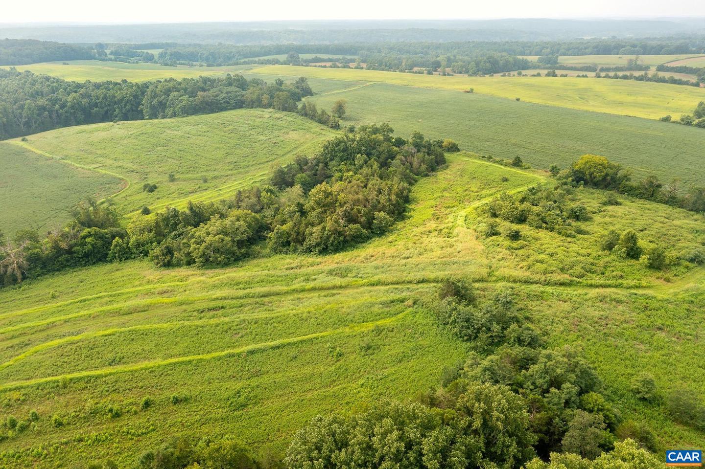 TBD GREENFIELD FARM, SCOTTSVILLE, Virginia 24590, ,Farm,For sale,TBD GREENFIELD FARM,665684 MLS # 665684