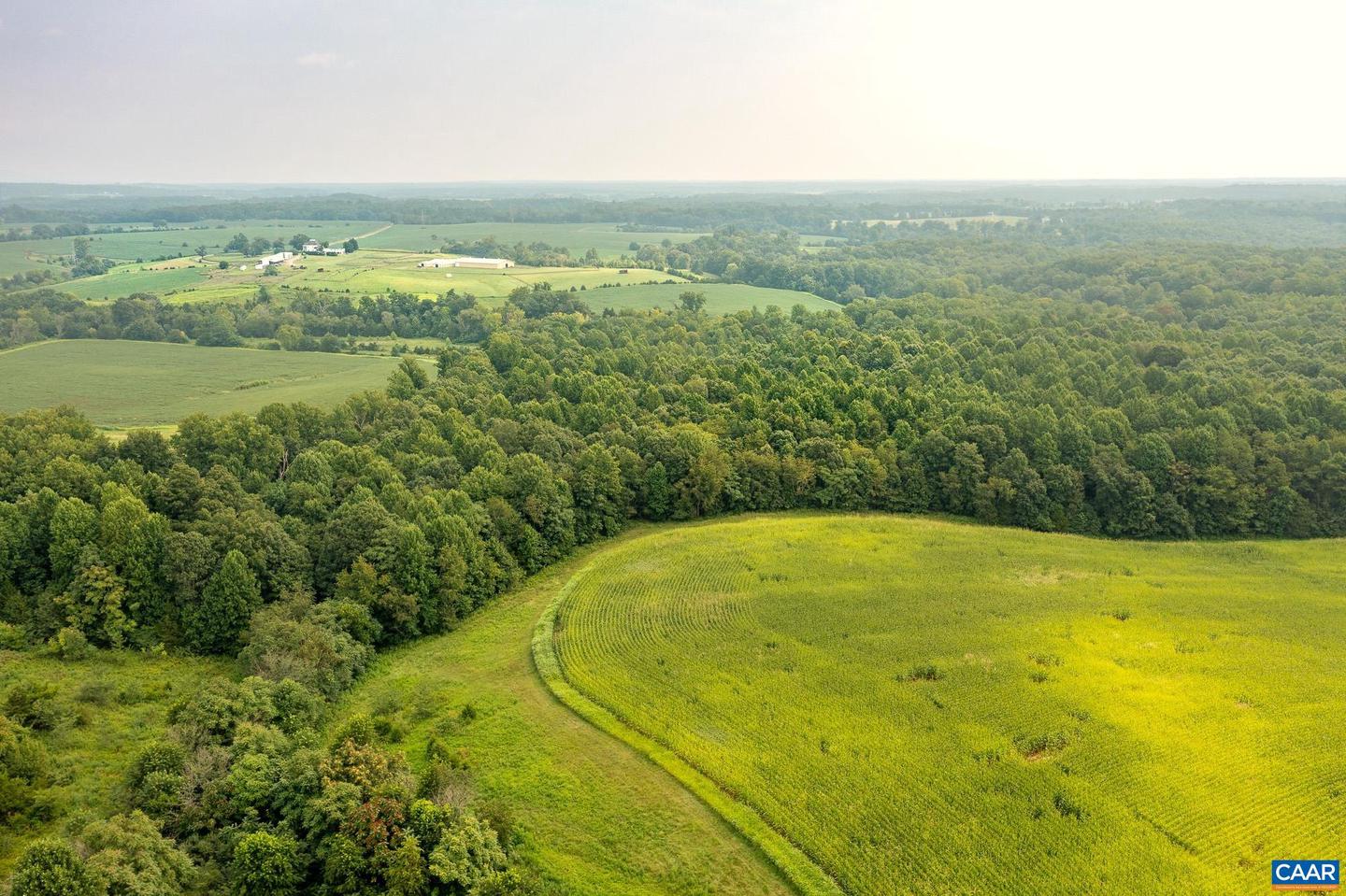 TBD GREENFIELD FARM, SCOTTSVILLE, Virginia 24590, ,Farm,For sale,TBD GREENFIELD FARM,665684 MLS # 665684