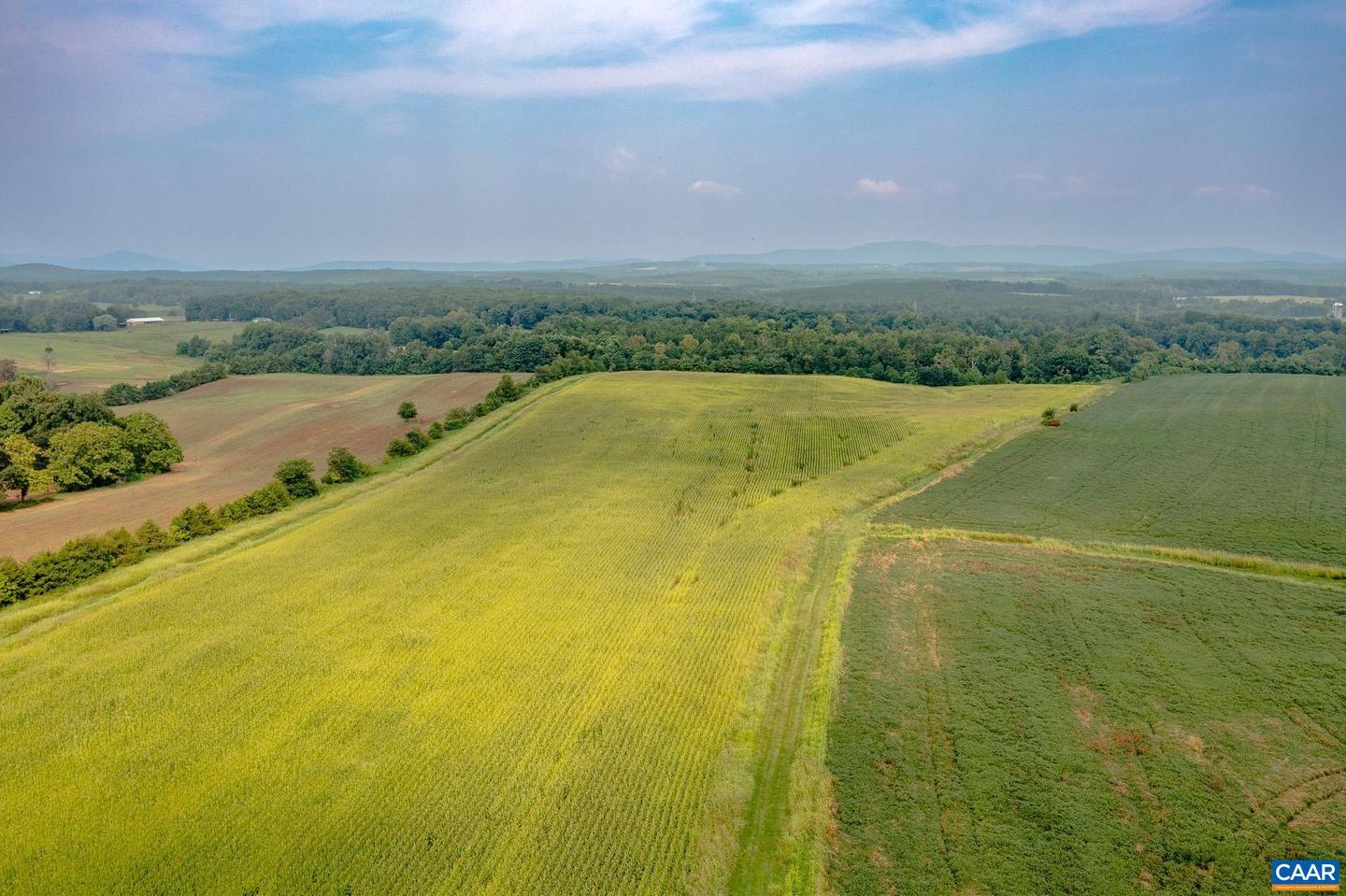 TBD GREENFIELD FARM, SCOTTSVILLE, Virginia 24590, ,Farm,For sale,TBD GREENFIELD FARM,665684 MLS # 665684
