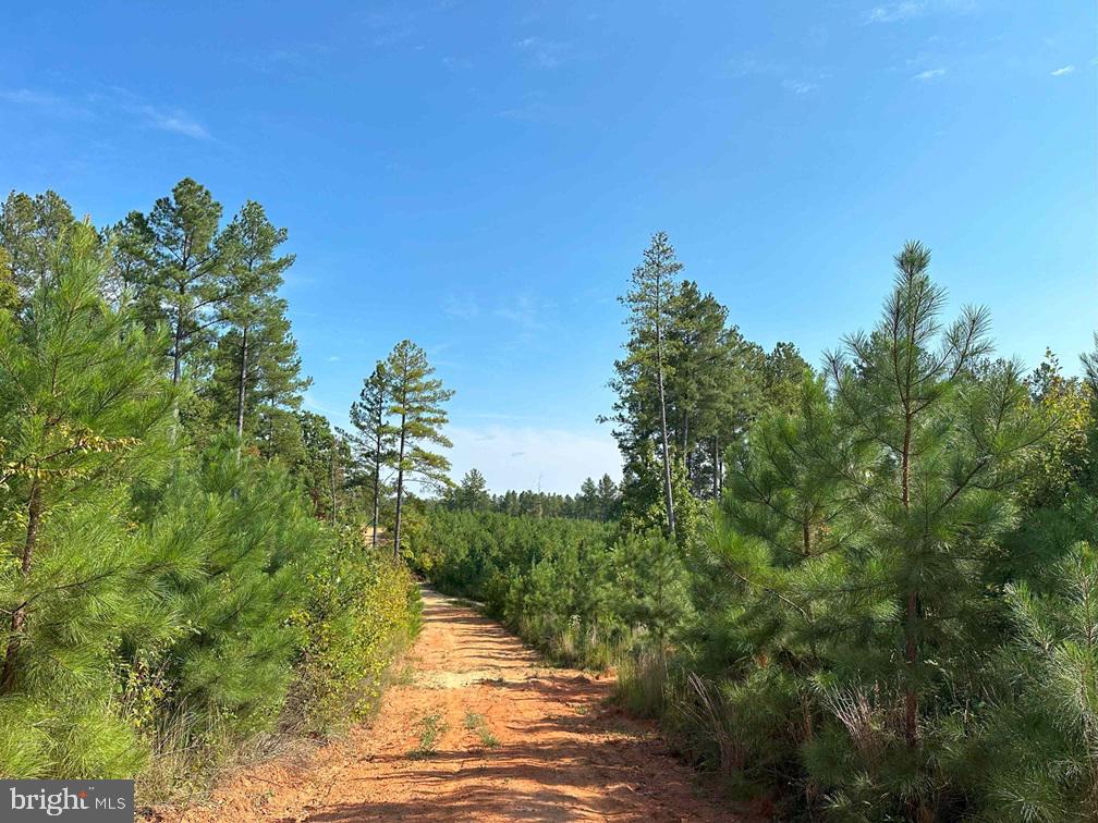 CUMBERLAND ROAD (RT. 45) (TRACT: GUINEA MILLS-2), CUMBERLAND, Virginia 23040, ,Farm,For sale,CUMBERLAND ROAD (RT. 45) (TRACT: GUINEA MILLS-2),VACB2000060 MLS # VACB2000060