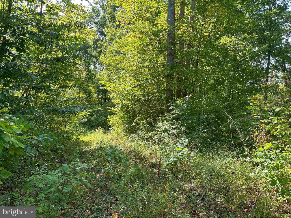 CUMBERLAND ROAD (RT. 45) (TRACT: GUINEA MILLS-2), CUMBERLAND, Virginia 23040, ,Farm,For sale,CUMBERLAND ROAD (RT. 45) (TRACT: GUINEA MILLS-2),VACB2000060 MLS # VACB2000060