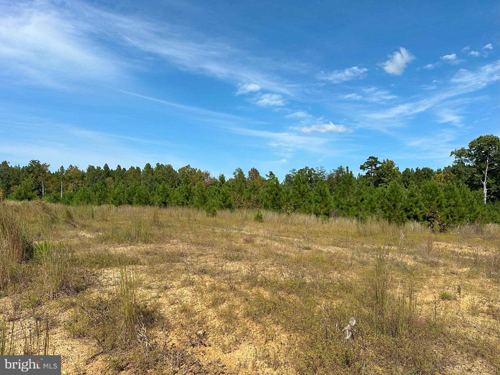 CUMBERLAND ROAD (RT. 45) (TRACT: GUINEA MILLS-2), CUMBERLAND, Virginia 23040, ,Farm,For sale,CUMBERLAND ROAD (RT. 45) (TRACT: GUINEA MILLS-2),VACB2000060 MLS # VACB2000060