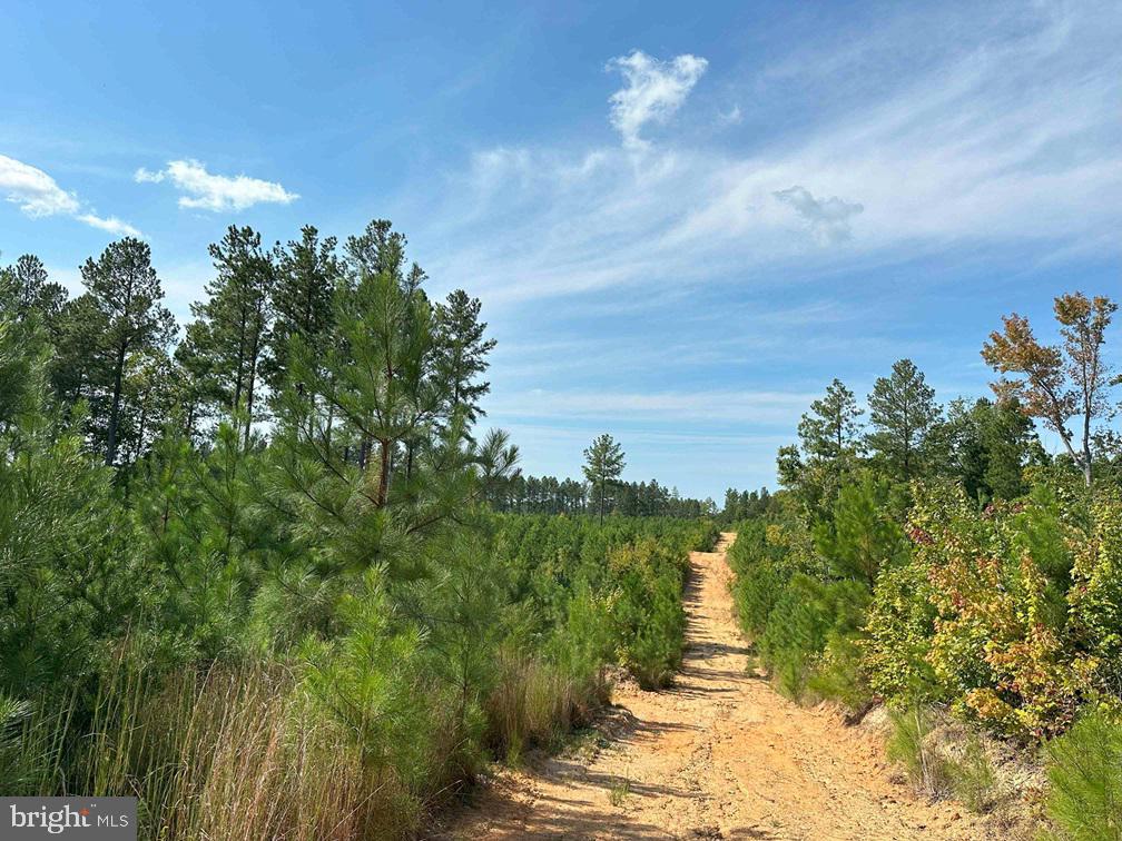 CUMBERLAND ROAD (RT. 45) (TRACT: GUINEA MILLS-2), CUMBERLAND, Virginia 23040, ,Farm,For sale,CUMBERLAND ROAD (RT. 45) (TRACT: GUINEA MILLS-2),VACB2000060 MLS # VACB2000060