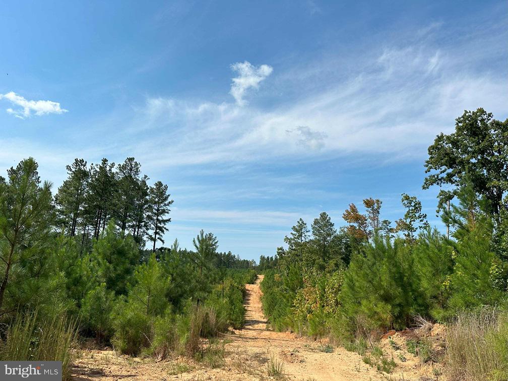 CUMBERLAND ROAD (RT. 45) (TRACT: GUINEA MILLS-2), CUMBERLAND, Virginia 23040, ,Farm,For sale,CUMBERLAND ROAD (RT. 45) (TRACT: GUINEA MILLS-2),VACB2000060 MLS # VACB2000060