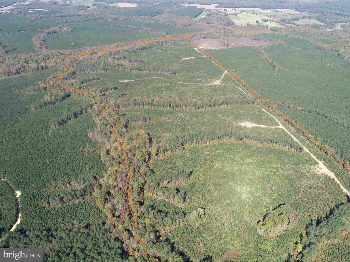 CUMBERLAND ROAD (RT. 45) (TRACT: GUINEA MILLS-2), CUMBERLAND, Virginia 23040, ,Farm,For sale,CUMBERLAND ROAD (RT. 45) (TRACT: GUINEA MILLS-2),VACB2000060 MLS # VACB2000060
