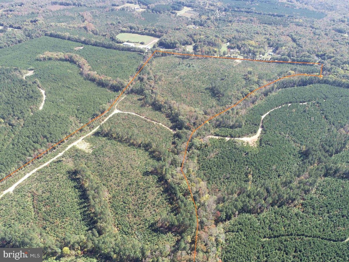 CUMBERLAND ROAD (RT. 45) (TRACT: GUINEA MILLS-2), CUMBERLAND, Virginia 23040, ,Farm,For sale,CUMBERLAND ROAD (RT. 45) (TRACT: GUINEA MILLS-2),VACB2000060 MLS # VACB2000060