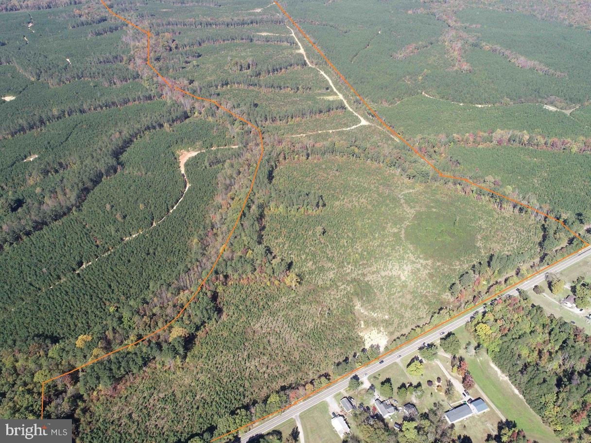 CUMBERLAND ROAD (RT. 45) (TRACT: GUINEA MILLS-2), CUMBERLAND, Virginia 23040, ,Farm,For sale,CUMBERLAND ROAD (RT. 45) (TRACT: GUINEA MILLS-2),VACB2000060 MLS # VACB2000060