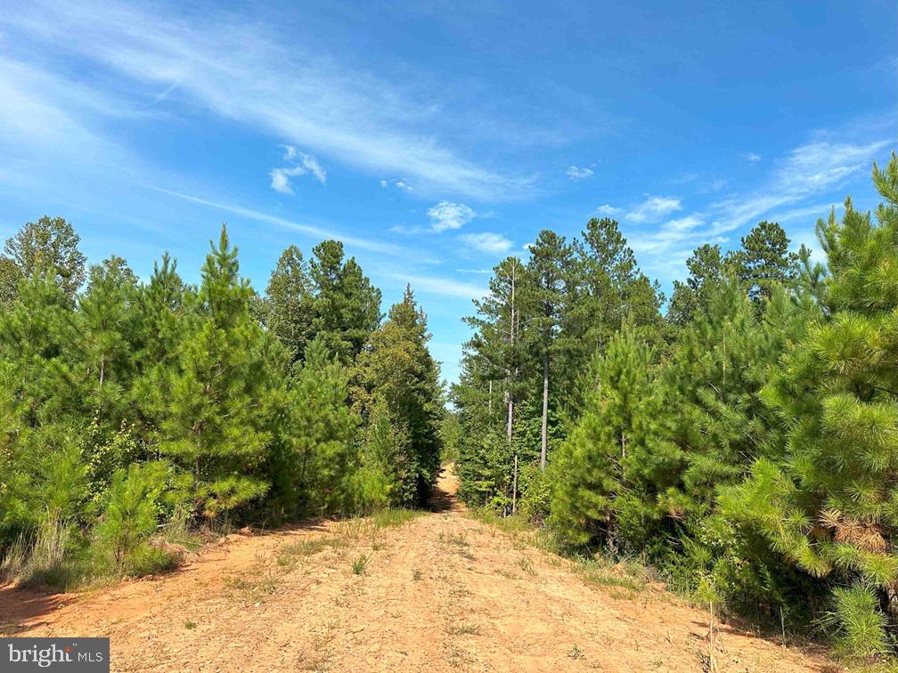 CUMBERLAND ROAD (RT. 45) (TRACT: GUINEA MILLS-2), CUMBERLAND, Virginia 23040, ,Farm,For sale,CUMBERLAND ROAD (RT. 45) (TRACT: GUINEA MILLS-2),VACB2000060 MLS # VACB2000060
