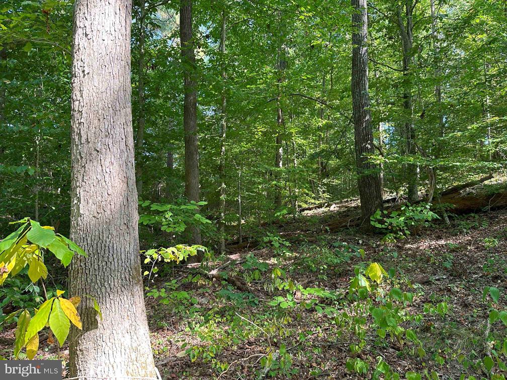 CUMBERLAND ROAD (RT. 45) (TRACT: GUINEA MILLS-2), CUMBERLAND, Virginia 23040, ,Farm,For sale,CUMBERLAND ROAD (RT. 45) (TRACT: GUINEA MILLS-2),VACB2000060 MLS # VACB2000060