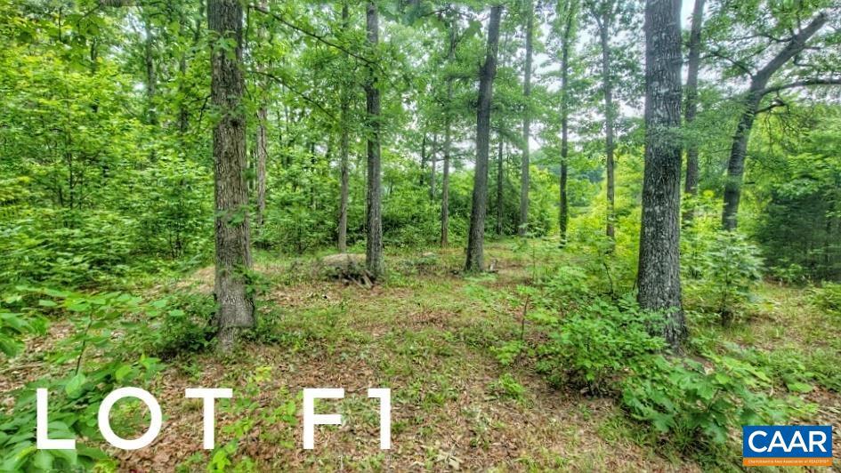 F1 ORCHID LAKE DR #F1, GUM SPRING, Virginia 23065, ,Land,For sale,F1 ORCHID LAKE DR #F1,665692 MLS # 665692