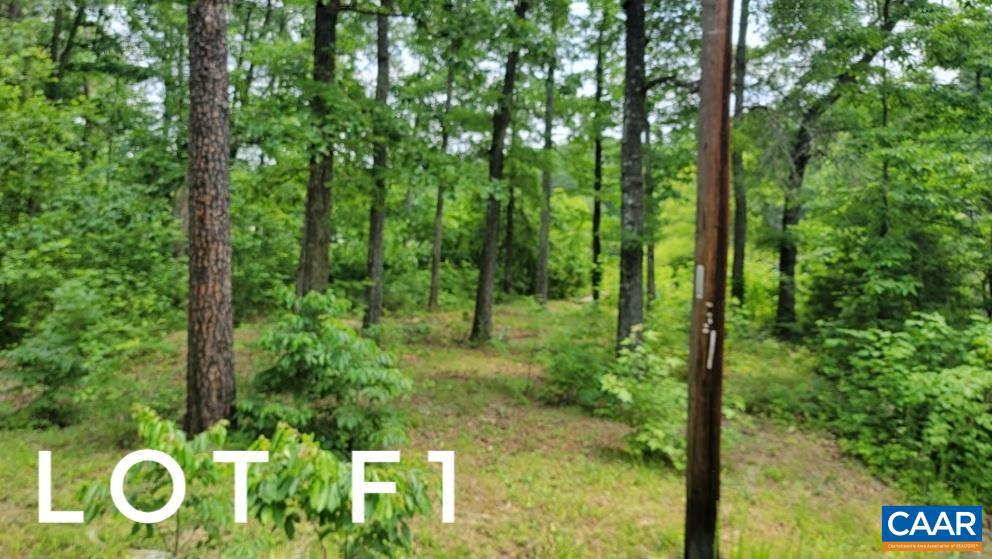 F2 ORCHID LAKE DR #F2, GUM SPRING, Virginia 23065, ,Land,For sale,F2 ORCHID LAKE DR #F2,665693 MLS # 665693