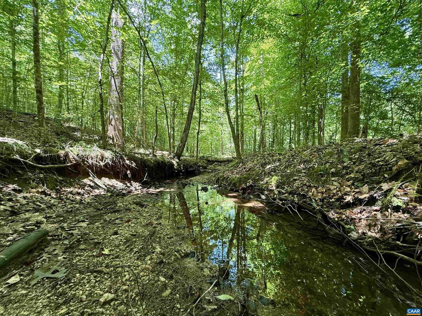 0 WELSHMAN LN #2, MINERAL, Virginia 23117, ,Land,For sale,0 WELSHMAN LN #2,665703 MLS # 665703