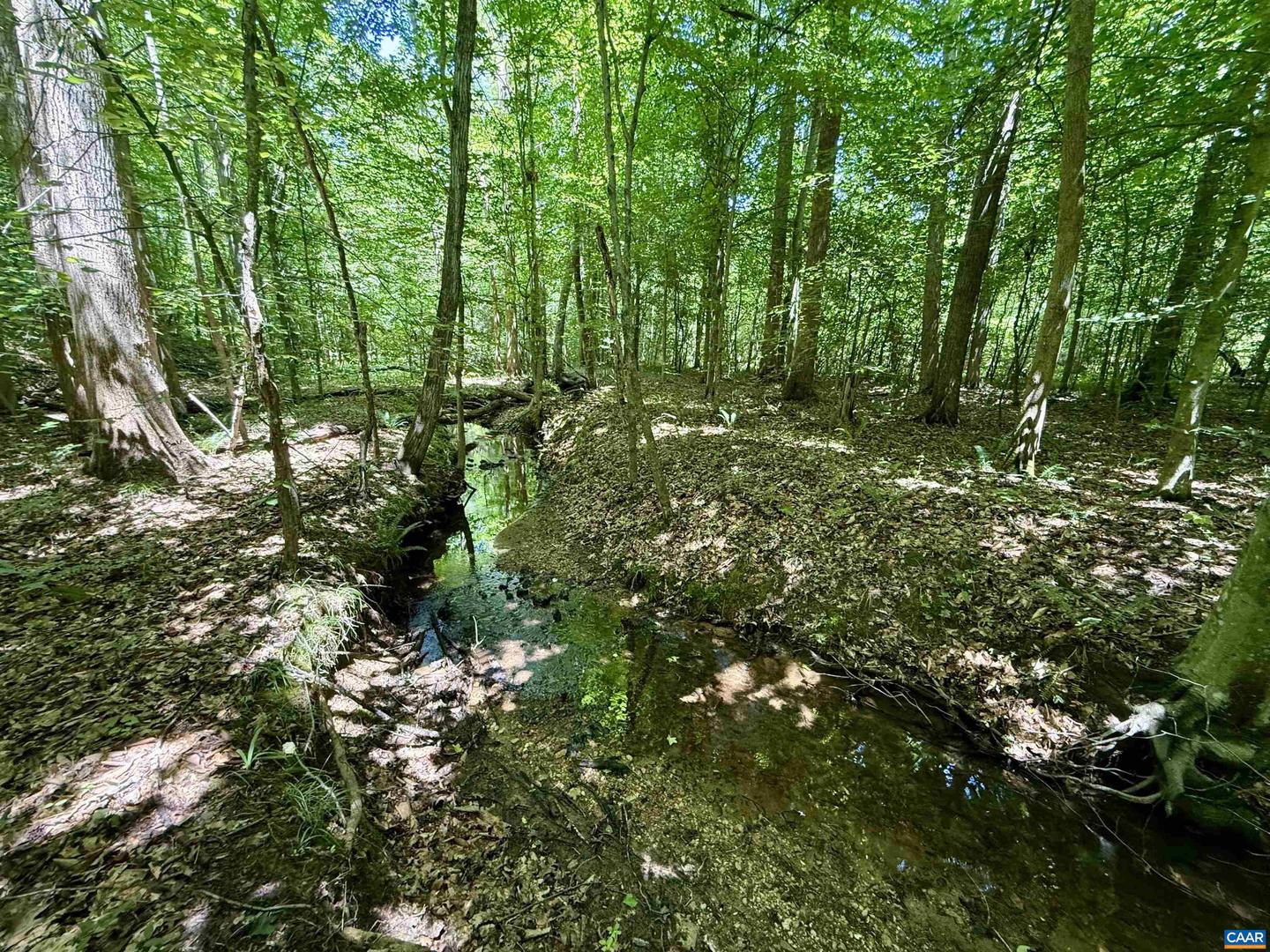 0 WELSHMAN LN #2, MINERAL, Virginia 23117, ,Land,For sale,0 WELSHMAN LN #2,665703 MLS # 665703