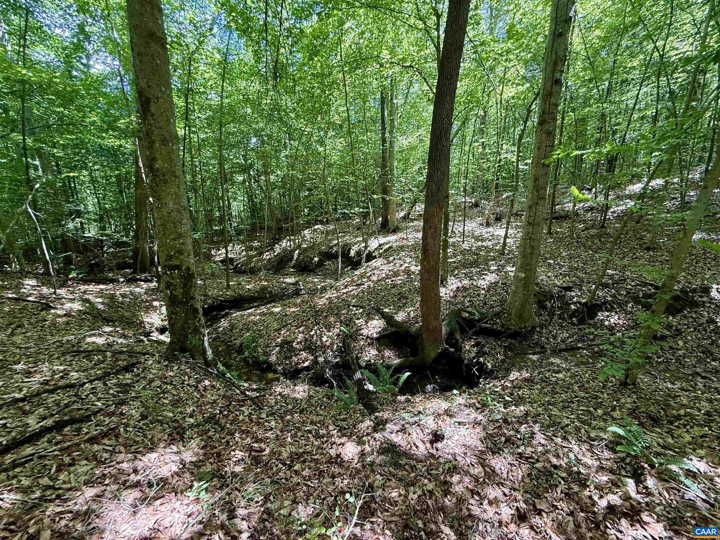 0 WELSHMAN LN #2, MINERAL, Virginia 23117, ,Land,For sale,0 WELSHMAN LN #2,665703 MLS # 665703