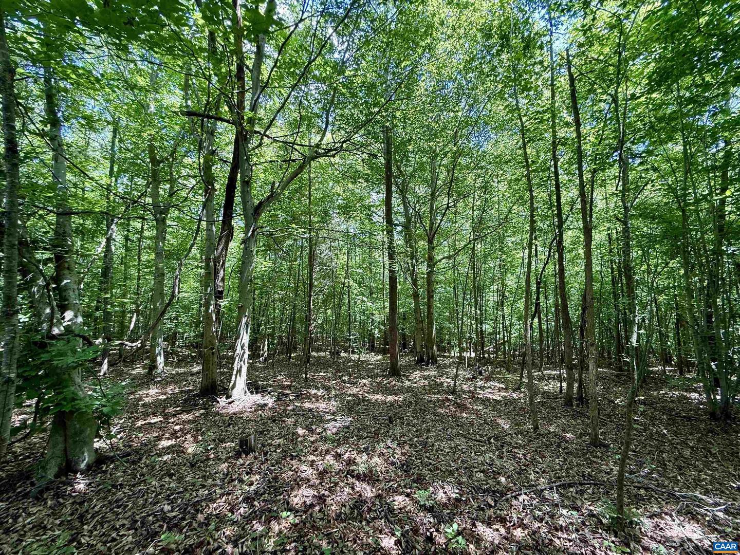 0 WELSHMAN LN #2, MINERAL, Virginia 23117, ,Land,For sale,0 WELSHMAN LN #2,665703 MLS # 665703