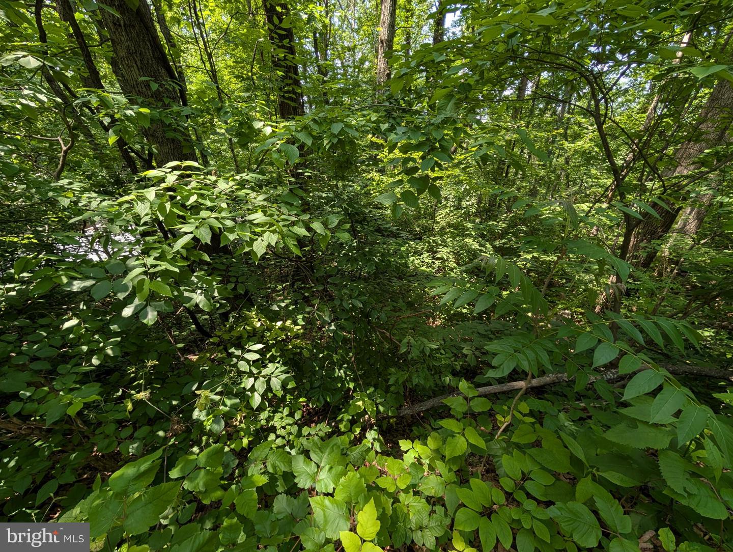 LOT 104 SUMMIT POINT DR, FRONT ROYAL, Virginia 22630, ,Land,For sale,LOT 104 SUMMIT POINT DR,VAWR2011446 MLS # VAWR2011446