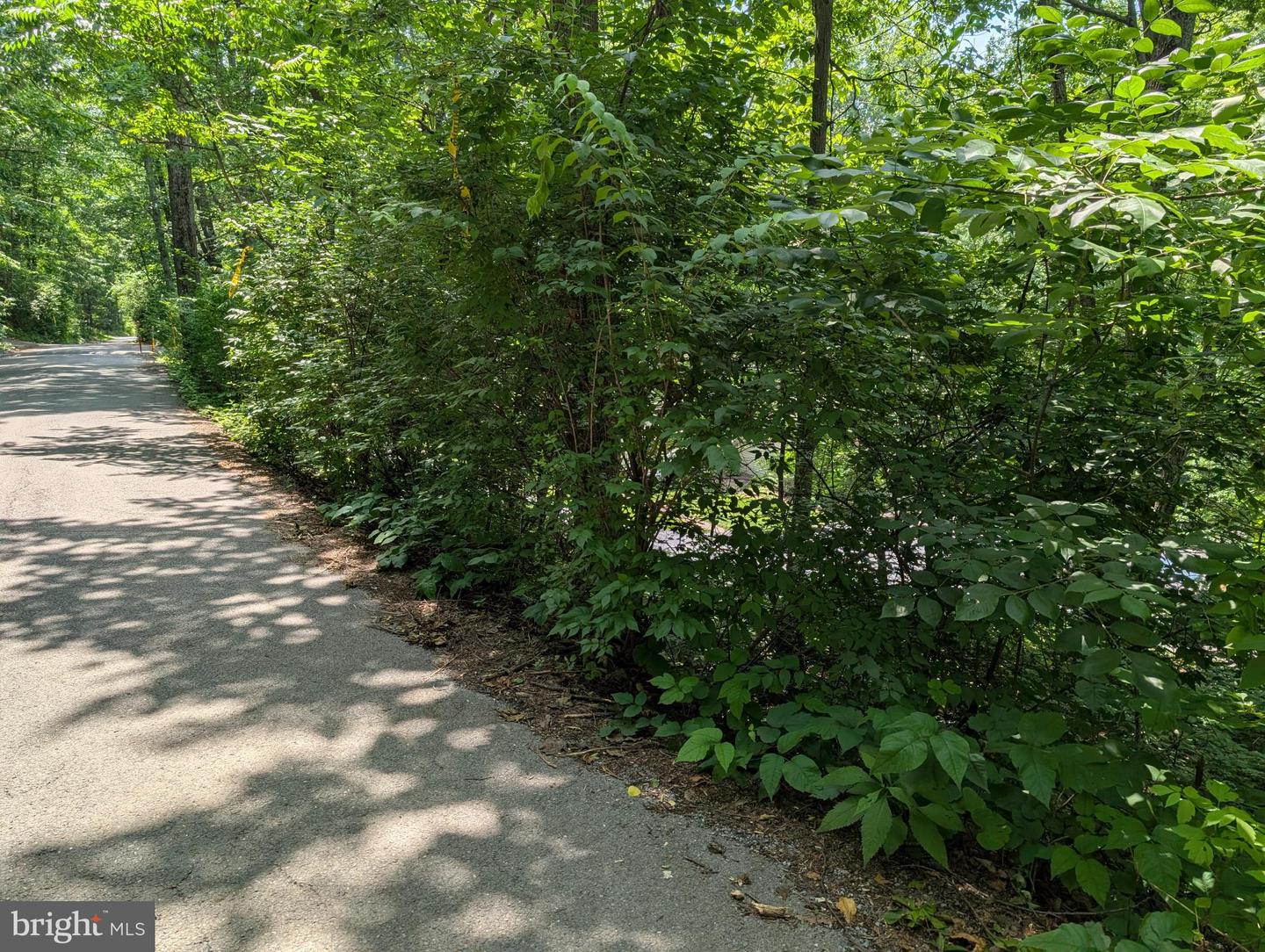 LOT 104 SUMMIT POINT DR, FRONT ROYAL, Virginia 22630, ,Land,For sale,LOT 104 SUMMIT POINT DR,VAWR2011446 MLS # VAWR2011446