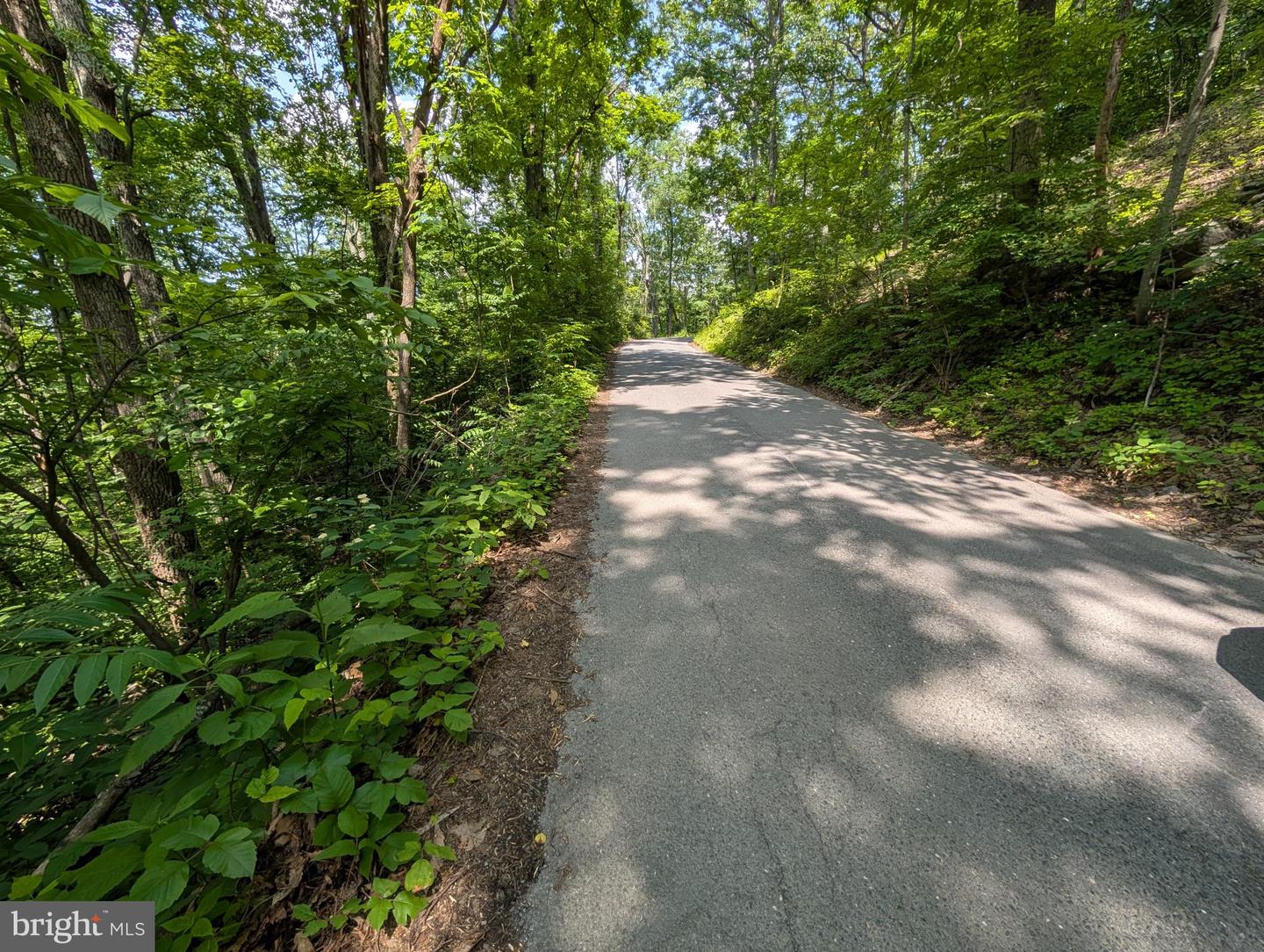 LOT 104 SUMMIT POINT DR, FRONT ROYAL, Virginia 22630, ,Land,For sale,LOT 104 SUMMIT POINT DR,VAWR2011446 MLS # VAWR2011446