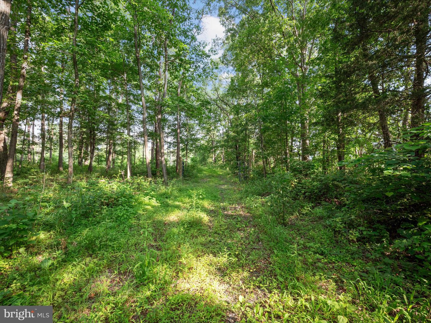 STEED LN, FRONT ROYAL, Virginia 22630, ,Land,For sale,STEED LN,VAWR2011450 MLS # VAWR2011450