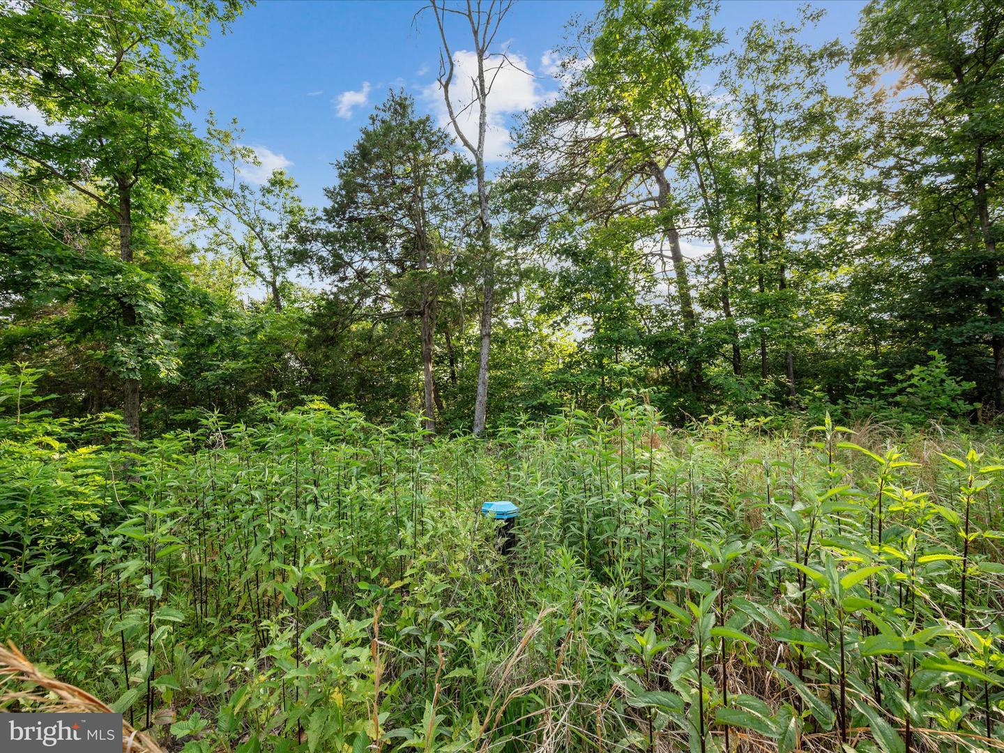 STEED LN, FRONT ROYAL, Virginia 22630, ,Land,For sale,STEED LN,VAWR2011450 MLS # VAWR2011450
