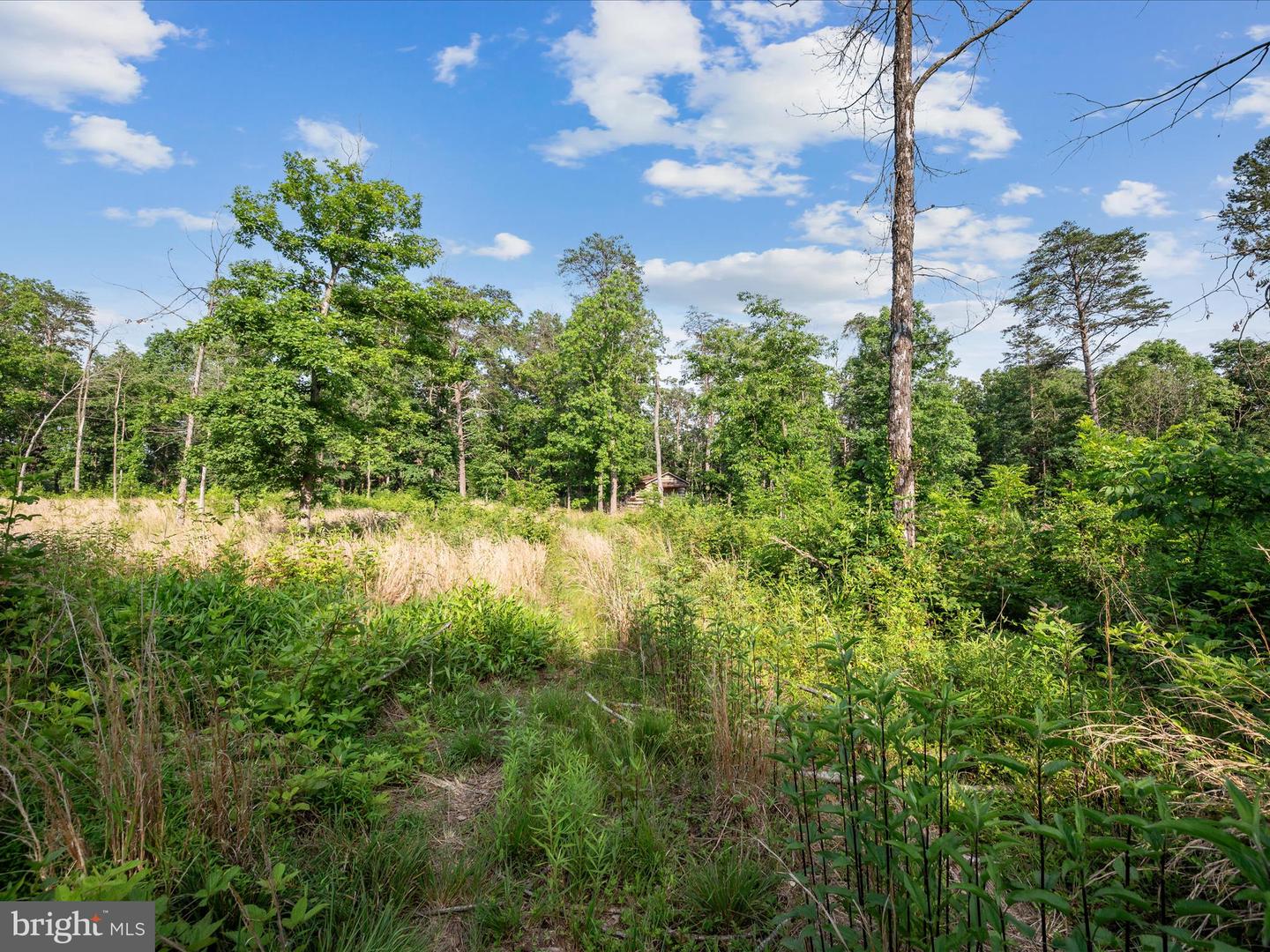 STEED LN, FRONT ROYAL, Virginia 22630, ,Land,For sale,STEED LN,VAWR2011450 MLS # VAWR2011450