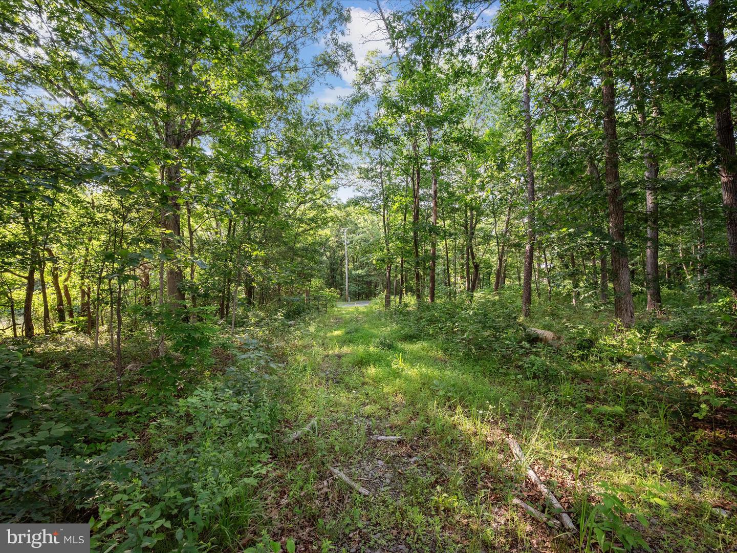 STEED LN, FRONT ROYAL, Virginia 22630, ,Land,For sale,STEED LN,VAWR2011450 MLS # VAWR2011450