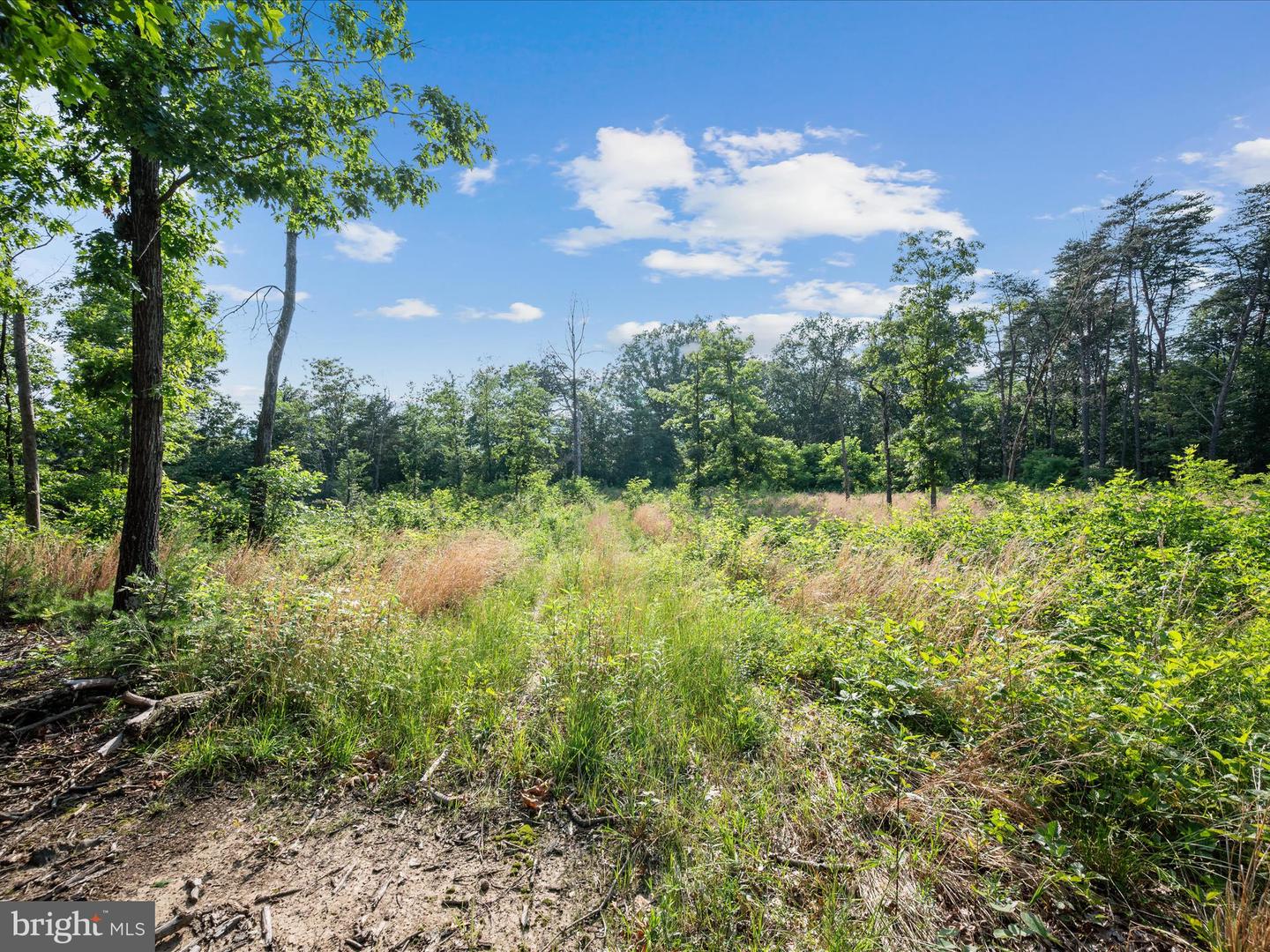 STEED LN, FRONT ROYAL, Virginia 22630, ,Land,For sale,STEED LN,VAWR2011450 MLS # VAWR2011450