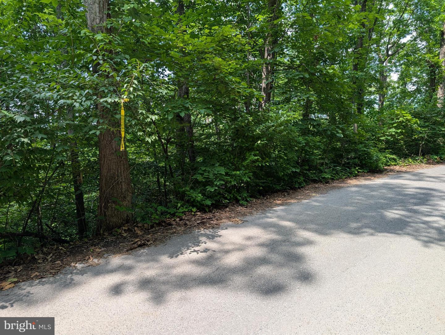 LOT 105 SUMMIT POINT DR, FRONT ROYAL, Virginia 22630, ,Land,For sale,LOT 105 SUMMIT POINT DR,VAWR2011454 MLS # VAWR2011454