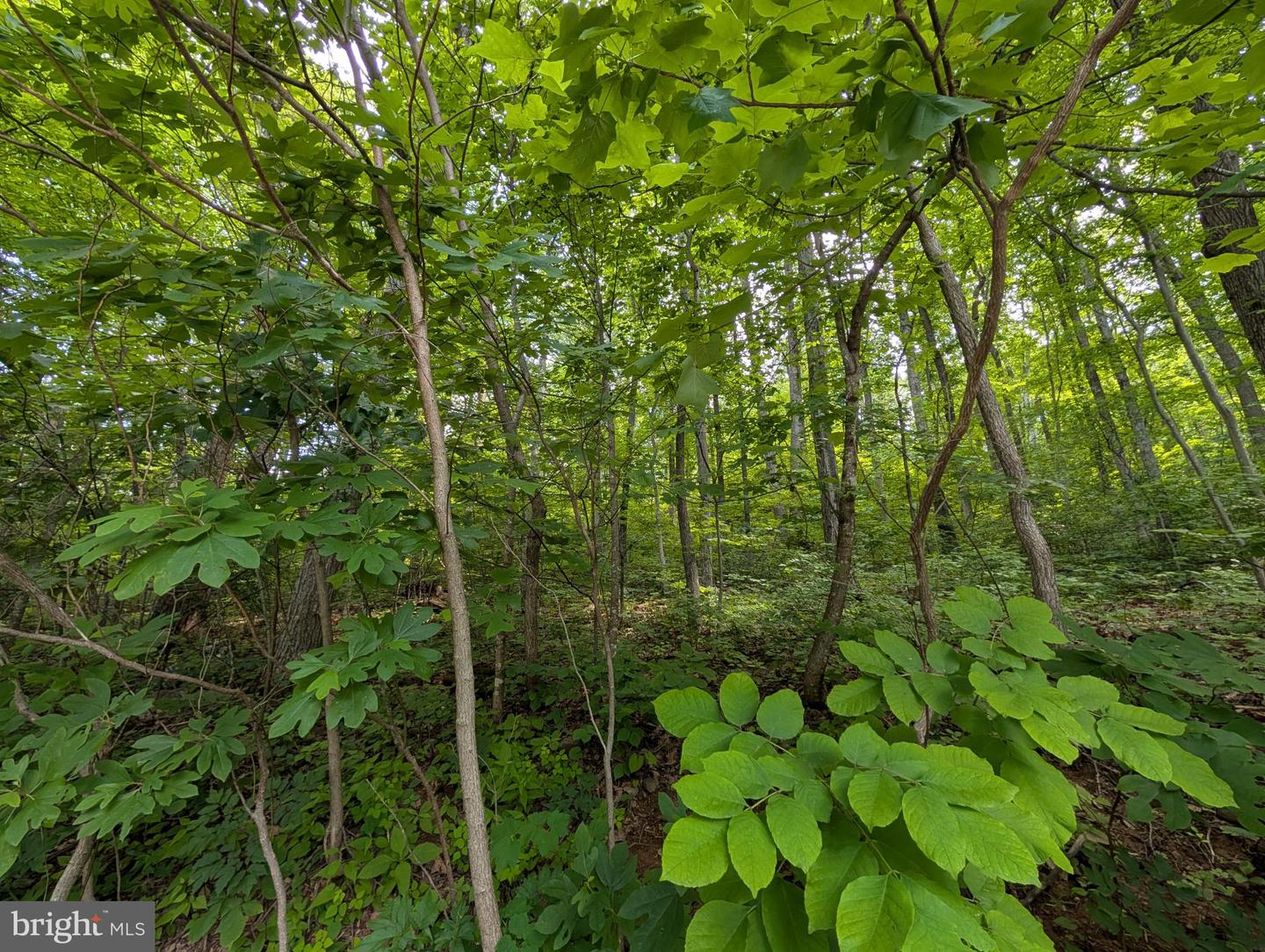 LOT 106 BLUEBIRD WAY, FRONT ROYAL, Virginia 22630, ,Land,For sale,LOT 106 BLUEBIRD WAY,VAWR2011458 MLS # VAWR2011458