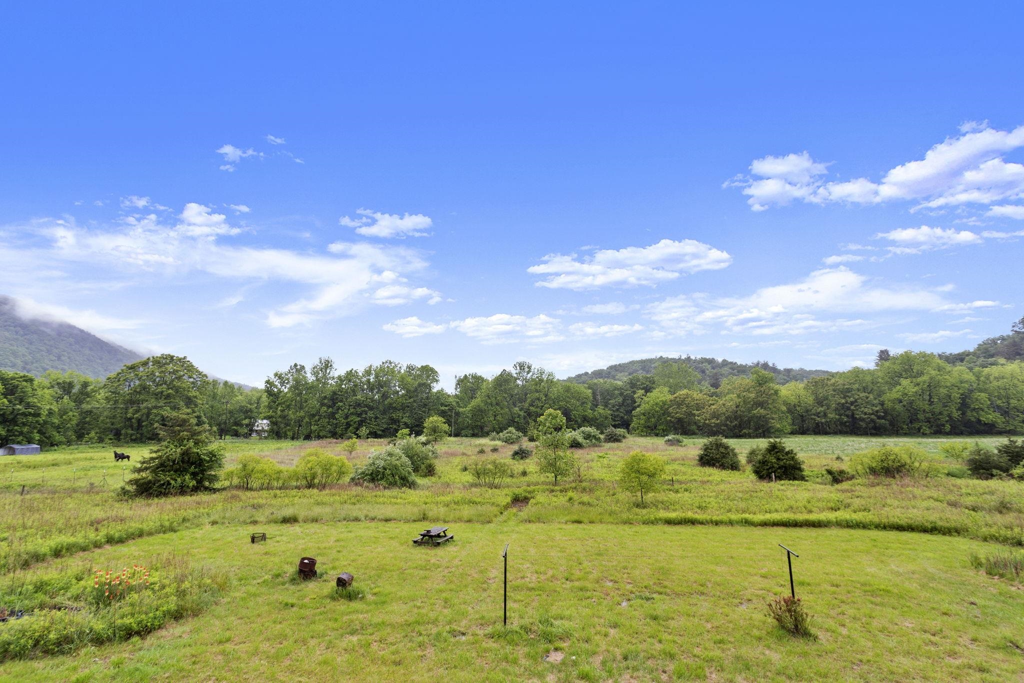 Property borders Runion Creek.