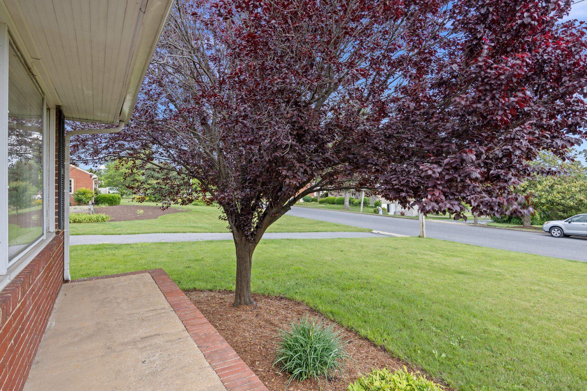 475 HARTMAN DR, HARRISONBURG, Virginia 22802, 3 Bedrooms Bedrooms, ,2 BathroomsBathrooms,Residential,475 HARTMAN DR,665701 MLS # 665701