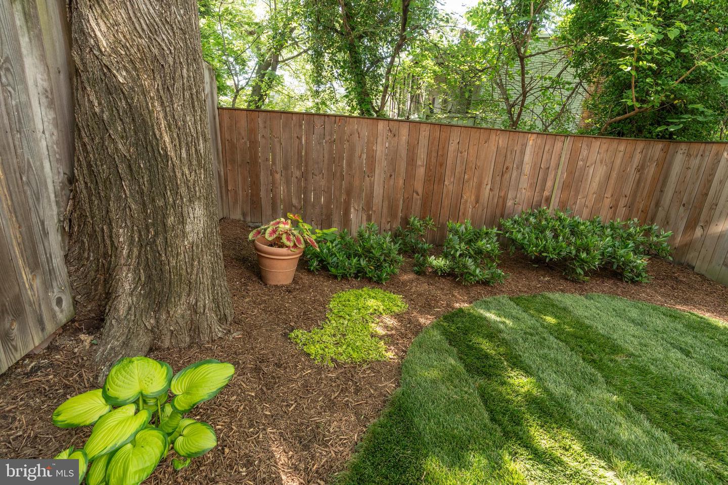 3811 NEW HAMPSHIRE AVE NW #1, WASHINGTON, District Of Columbia 20011, 2 Bedrooms Bedrooms, ,2 BathroomsBathrooms,Residential,For sale,3811 NEW HAMPSHIRE AVE NW #1,DCDC2199954 MLS # DCDC2199954
